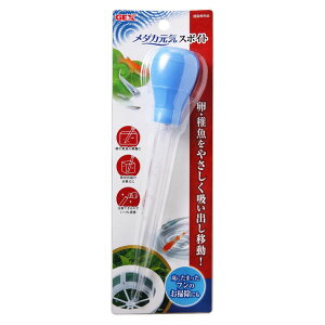 アクアリウム メダカ 飼育 稚魚 元気 スポイト スポイト 卵 掃除 ジェックス 吸い出し やさしい エサやり GEX