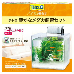 [ő400~OFFN[|ɂDAY]ANAE  Zbg _J  eg Zbg SF-17KF  ߂   Mы yBz