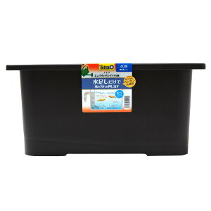 [ő400~N[|ɂDAY]ANAE _J   傤ŃLC40 ߂  yBz