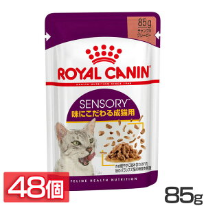 [ő400~ItN[|ɂDAY]yZbg͂ɂIzFHN-WET ZT[eCXg 85g Lbgt[h ybgt[h pE` L Lp Lp L A_g  CJi C