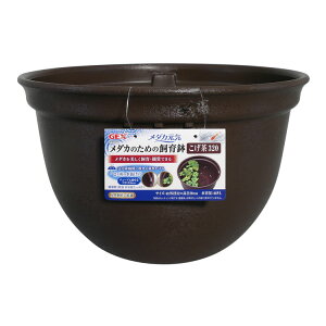 [ő400~OFFN[|ɂDAY]_JC _Ĵ߂̎甫320  ߂ O  x_ rIg[v _J GEX WFbNX ybgpi