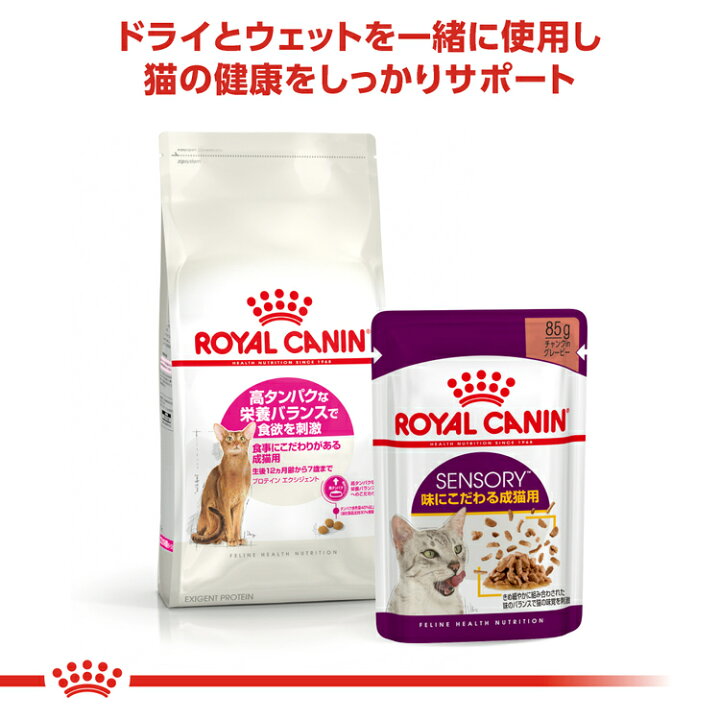 楽天市場】【□最大400円OFFクーポン｜要事前取得】ロイヤルカナン 猫 
