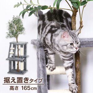 キャットタワー 猫用品 つめとぎ ねこの休ら木 マロン グレー 58205ペット ペット用品 ねこ キャットタワー 爪とぎポール 据え置きタイプ ハンモック 爪とぎ ネコ インテリア 【B】