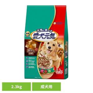 [z300|Cgl`X vGg[/Cɓ]hbOt[h C  C p ݁Er[tEΉFؓ 2.3kg