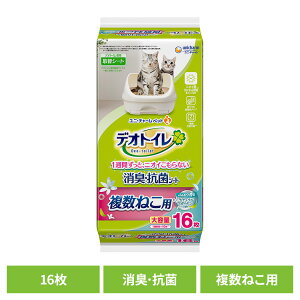 [yVX[p[SALE20`N[|zzHI] j`[ փV[g fIgC ˂p ӂ荁LERۃV[g i`K[f̍ 16 L e L R V[g