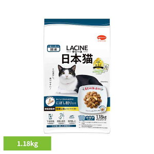 y20`N[|zzHI20-26zV[l{Lɂڂ1.18kg 1011315 {ybgt[h FY btďC Lbgt[h {ybgt[h