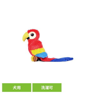 [z300|Cgl`X vGg[/Cɓ] tFb`OtbN pbg p ybgp pʂ V vȂ  