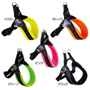 y20`N[|zzHI20-26zn[lX ^  n[lX  p LTP123 Fibbia at SM TCY3.5 LTP123  p  U Ck DOG dog gE|eB TRE PONTI CG[ IW s