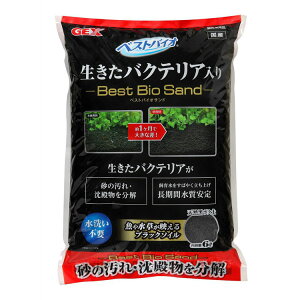 [ő400~N[|ɂDAY]ANAE ꍻ eE  GEX xXgoCITh6L oCITh  p Wp W WFbNX ysz