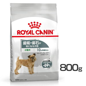 [ő400~OFFN[|ɂDAY]~j f^PA 800g hbOt[h hC ` ^ C 800g  P[iC H CJi yrcdb66z