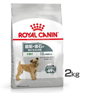 [ő400~OFFN[|ɂDAY]~j f^PA 2kg hbOt[h hC ` ^ C 2kg  P[iC H CJi