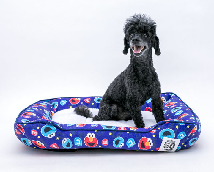 楽天市場 ワンにゃんクーポン配布中 25日9 59迄 売り尽くし セサミストリート スクエアベッド M ペットベッド ペット用 カドラー 猫 キャット 寝具 犬 ドッグ やわらか 秋冬 あったか ラブリーペット ブルー ホワイト D キャットランド
