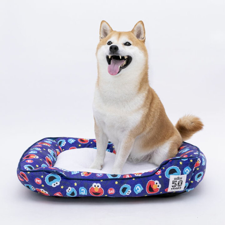 楽天市場 ワンにゃんクーポン配布中 25日9 59迄 売り尽くし セサミストリート スクエアベッド M ペットベッド ペット用 カドラー 猫 キャット 寝具 犬 ドッグ やわらか 秋冬 あったか ラブリーペット ブルー ホワイト D キャットランド