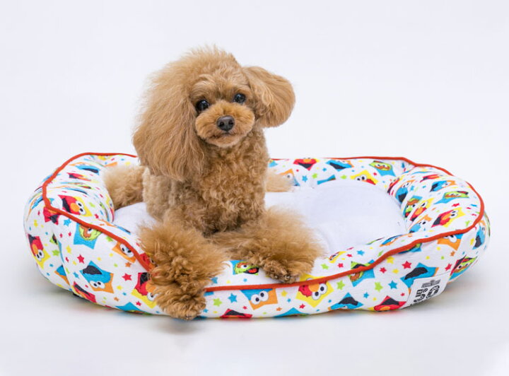 楽天市場 ワンにゃんクーポン配布中 25日9 59迄 売り尽くし セサミストリート スクエアベッド M ペットベッド ペット用 カドラー 猫 キャット 寝具 犬 ドッグ やわらか 秋冬 あったか ラブリーペット ブルー ホワイト D キャットランド