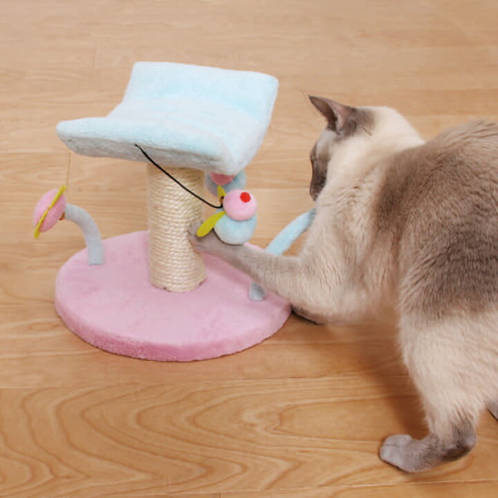 楽天市場 ネコパンチ 棚板付きミニタワー S ミニキャットランド Mcl 10 猫 おもちゃ 爪とぎ オモチャ 玩具 人気 つめとぎ ペット キャットタワー アイリスオーヤマ キャットランド 楽天 2212ss キャットランド