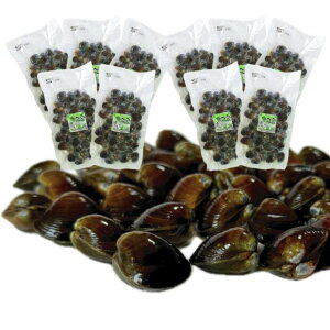 yz{錧 Ίs kY ׂ Ⓚ 1200g ς  ݏ` X`