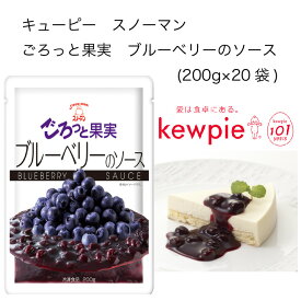 【送料無料】【大容量】【業務用】キューピー　スノーマン　ごろっと果実　ブルーベリーのソース　(200g×20袋)