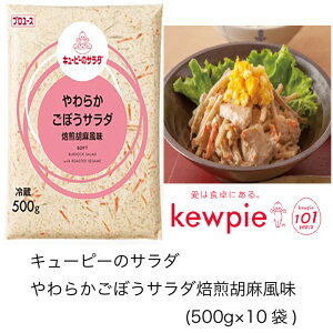 yzyeʁzyƖpzL[s[@L[s[̃T_@炩ڂT_Ӗ@(500g×10)