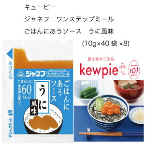 yzyeʁzyƖpzL[s[@WFlt@Xebv~[@͂ɂ\[X@ɕ@(10g×40×8)