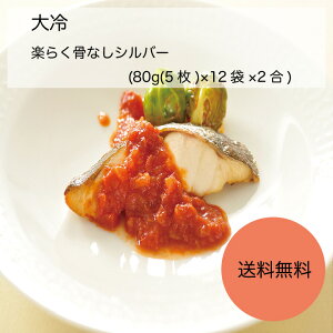 yzyƖpzyeʁz@y炭ȂVo[@(80g(5)×12×2)