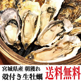 楽天市場 牡蠣 殻付き 3kgの通販