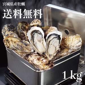 牡蠣　訳あり　送料無料　宮城産　殻付き牡蠣　1kg　生食