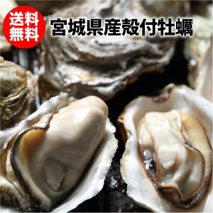 y kty {錧Y 