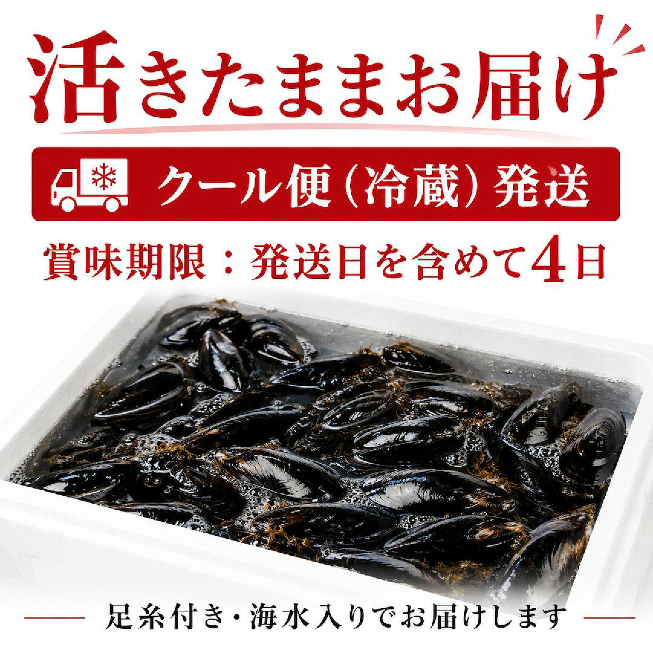 活きたままクール便でお届け