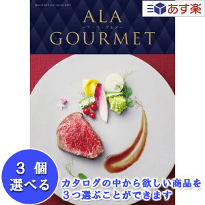 y 11܂ł̒zIOJ^O AO n[jbN J^OMtg  AEEO ( ALA GOURMET ) I[vn[g 3iIׂgv`CX 93000~R[X lC