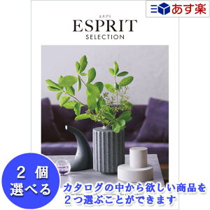 y 11܂ł̒zIuhJ^O n[jbN J^OMtg  GXv ( ESPRIT ) rrbh 2iIׂ_u`CX 41600~R[X lC Mtg j oYj Vz