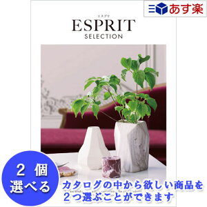 y 11܂ł̒zIuhJ^O n[jbN J^OMtg  GXv ( ESPRIT ) Vv 2iIׂ_u`CX 51600~R[X lC Mtg j oYj Vz