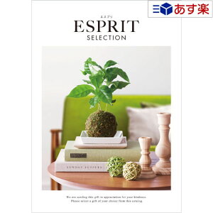 y 11܂ł̒zIuhJ^O n[jbN J^OMtg  GXv ( ESPRIT ) tF~j 2800~R[X lC Mtg j j oYj Vzj j oY