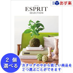 y 11܂ł̒zIuhJ^O n[jbN J^OMtg  GXv ( ESPRIT ) tF~j 2iIׂ_u`CX 5600~R[X lC Mtg j oYj Vz