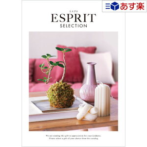 【当日発送 11時までの注文分】特選ブランドカタログ ハーモニック カタログギフト 「 エスプリ ( ESPRIT )」 ポップ 3800円コース 人気 ギフト 御祝 結婚祝 出産祝 新築祝 結婚内祝 出産内祝 新