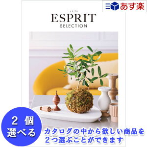 y 11܂ł̒zIuhJ^O n[jbN J^OMtg  GXv ( ESPRIT ) XEB[g 2iIׂ_u`CX 8600~R[X lC Mtg j oYj Vz