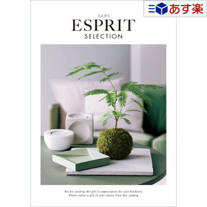 y 11܂ł̒zIuhJ^O n[jbN J^OMtg  GXv ( ESPRIT ) GKX 4800~R[X lC Mtg j j oYj Vzj j oY