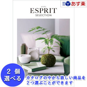 y 11܂ł̒zIuhJ^O n[jbN J^OMtg  GXv ( ESPRIT ) GKX 2iIׂ_u`CX 9600~R[X lC Mtg j oYj Vz