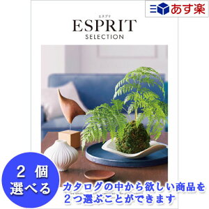 y 11܂ł̒zIuhJ^O n[jbN J^OMtg  GXv ( ESPRIT ) JWA 2iIׂ_u`CX 11600~R[X lC Mtg j oYj V
