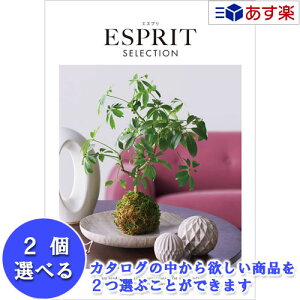 y 11܂ł̒zIuhJ^O n[jbN J^OMtg  GXv ( ESPRIT ) Jg[ 2iIׂ_u`CX 15600~R[X lC Mtg j oYj V