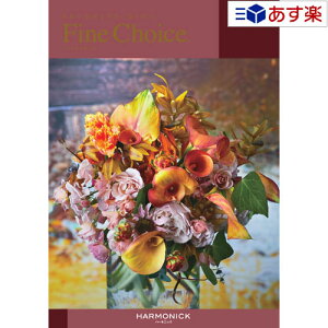 y 11܂ł̒zǂȗprłpłJ^O n[jbN J^OMtg  t@C`CX ( FINE CHOICE ) Ip[ 30800~R[X lC Mtg uC_ j 