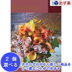 y 11܂ł̒zǂȗprłpłJ^O n[jbN J^OMtg  t@C`CX ( FINE CHOICE ) 2iIׂ_u`CX Ip[ 61600~R[X lC M