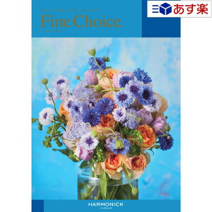y 11܂ł̒zǂȗprłpłJ^O n[jbN J^OMtg  t@C`CX ( FINE CHOICE ) ANA} 3300~R[X lC Mtg uC_ j 