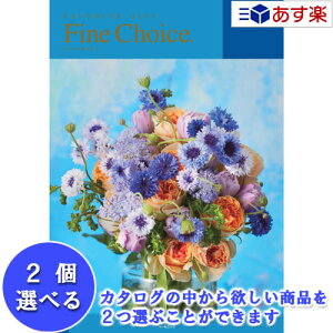 y 11܂ł̒zǂȗprłpłJ^O n[jbN J^OMtg  t@C`CX ( FINE CHOICE ) 2iIׂ_u`CX ANA} 6600~R[X l