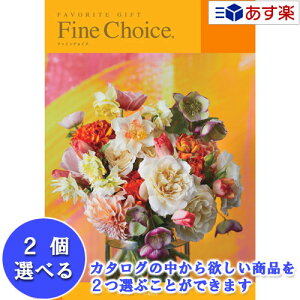 y 11܂ł̒zǂȗprłpłJ^O n[jbN J^OMtg  t@C`CX ( FINE CHOICE ) 2iIׂ_u`CX r[ 9600~R[X lC Mt