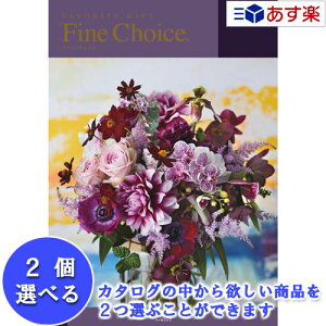 y 11܂ł̒zǂȗprłpłJ^O n[jbN J^OMtg  t@C`CX ( FINE CHOICE ) 2iIׂ_u`CX Gh 101600~R[X lC