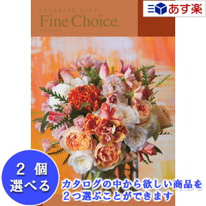y 11܂ł̒zǂȗprłpłJ^O n[jbN J^OMtg  t@C`CX ( FINE CHOICE ) 2iIׂ_u`CX p[ 17600~R[X lC Mt