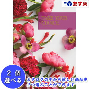 y 11܂ł̒zmEuC_J^O n[jbN J^OMtg  eCNA`CX ( TAKE YOUR CHOICE ) ubhA 2iIׂ_u`CX 41600~R[X lC Mt