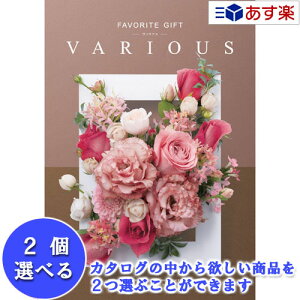 y 11܂ł̒zLNwprŊ􂷂閜\J^O n[jbN J^OMtg  @AX ( FAVORITE GIFT VARIOUS ) }`FX^[ 2iIׂ_u`C