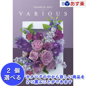 y 11܂ł̒zLNwprŊ􂷂閜\J^O n[jbN J^OMtg  @AX ( FAVORITE GIFT VARIOUS ) VAg 2iIׂ_u`CX 51600