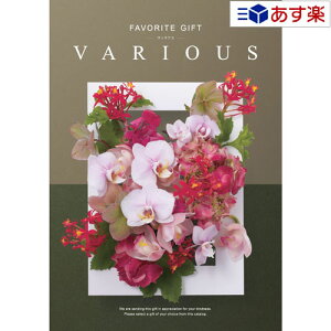 y 11܂ł̒zLNwprŊ􂷂閜\J^O n[jbN J^OMtg  @AX ( FAVORITE GIFT VARIOUS ) IX 30800~R[X lC Mtg j